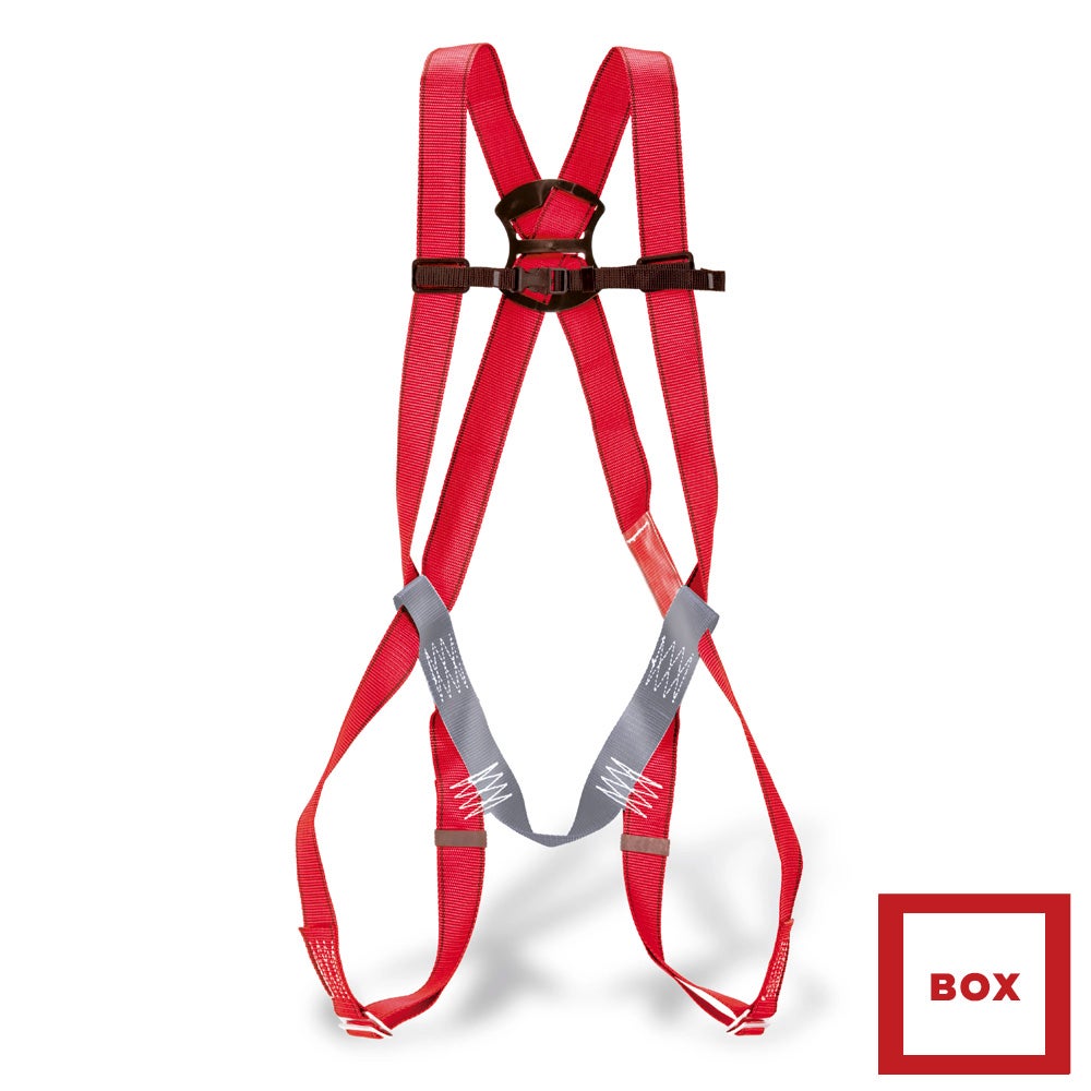 Arnés anticaídas Básico BOX (10 Uds)